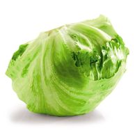 Iceberg Lettuce Each Nature's Pick